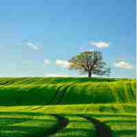 智‌能‍图‌像﻿识‍别‌助﻿手​